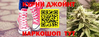 гидропоника Гатчина