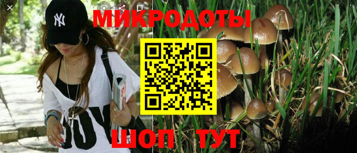 Псилоцибиновые грибы Magic Shrooms  Вход с VPN  Горно-Алтайск  Псилоцибиновые грибы мухоморы 